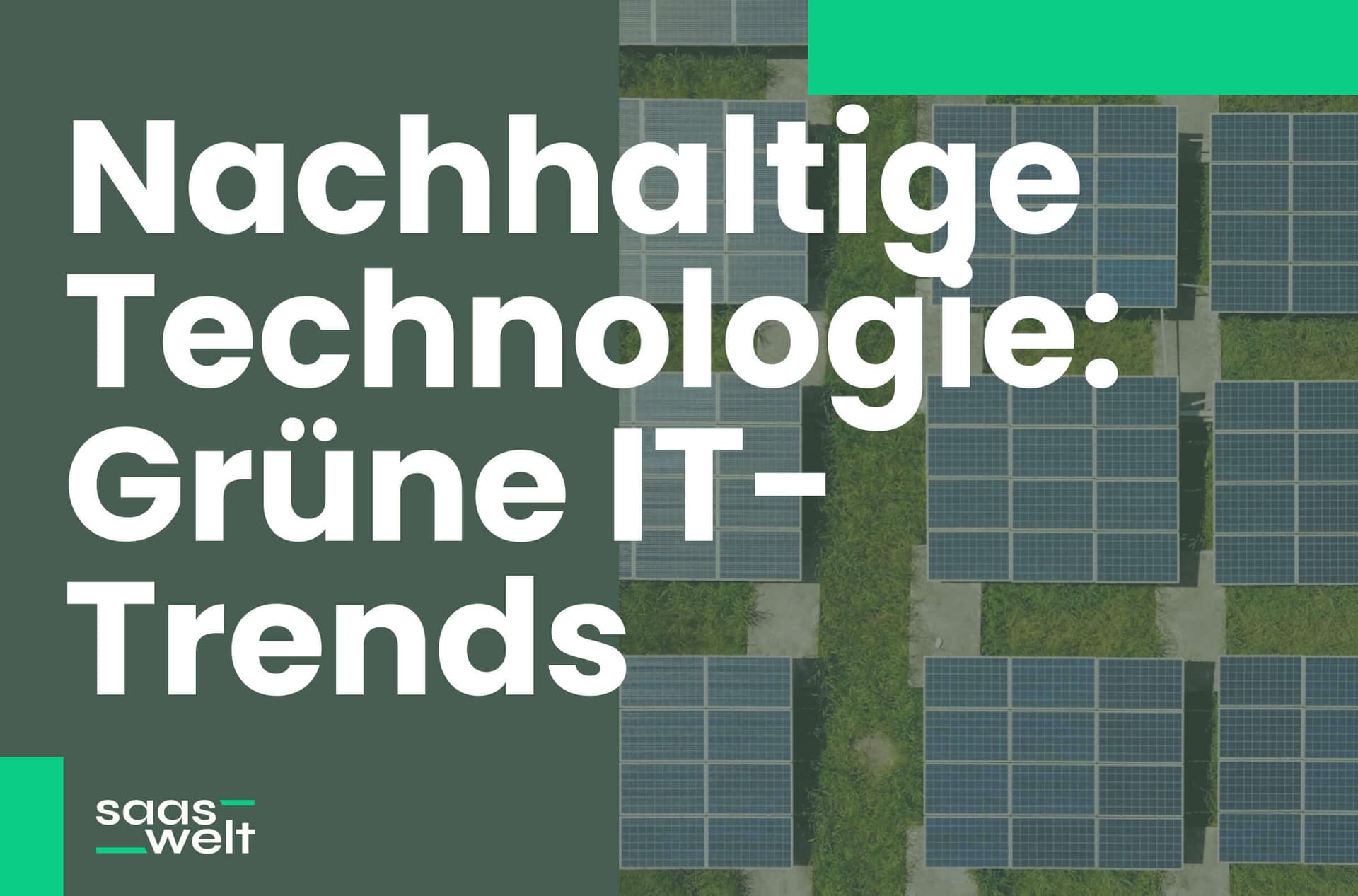 Nachhaltige Technologie: Grüne IT-Trends für Unternehmen 2025